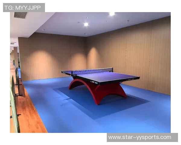 从零基础到乒乓球耐力提升全攻略助你轻松掌握技巧与体能训练