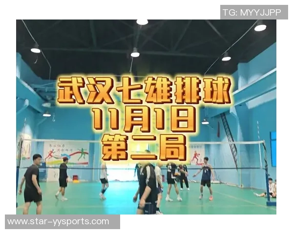 武汉排球队的节奏解析与排球深度探讨之旅实时数据