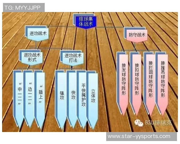 运动最新数据深圳排球队战术解析与控制策略深度剖析 运动最新数据深圳排球队战术解析与控制策略深度剖析