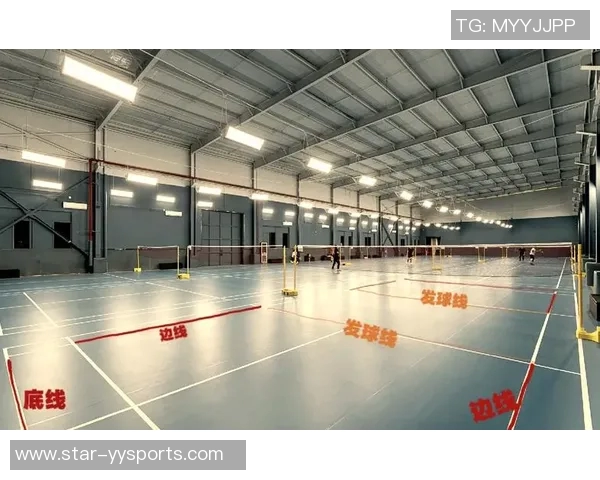 运动最新数据羽毛球新手必看快速入门指南助你轻松掌握基本技巧与战术